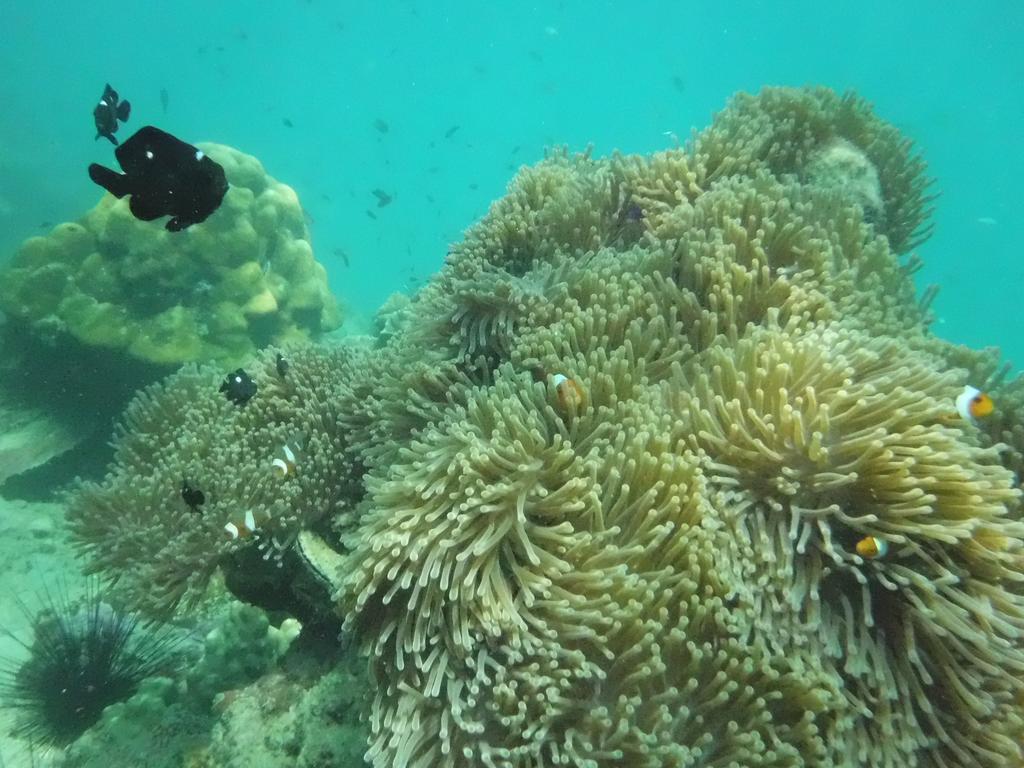 Lucky Bunggalow เกาะมุก ภายนอก รูปภาพ